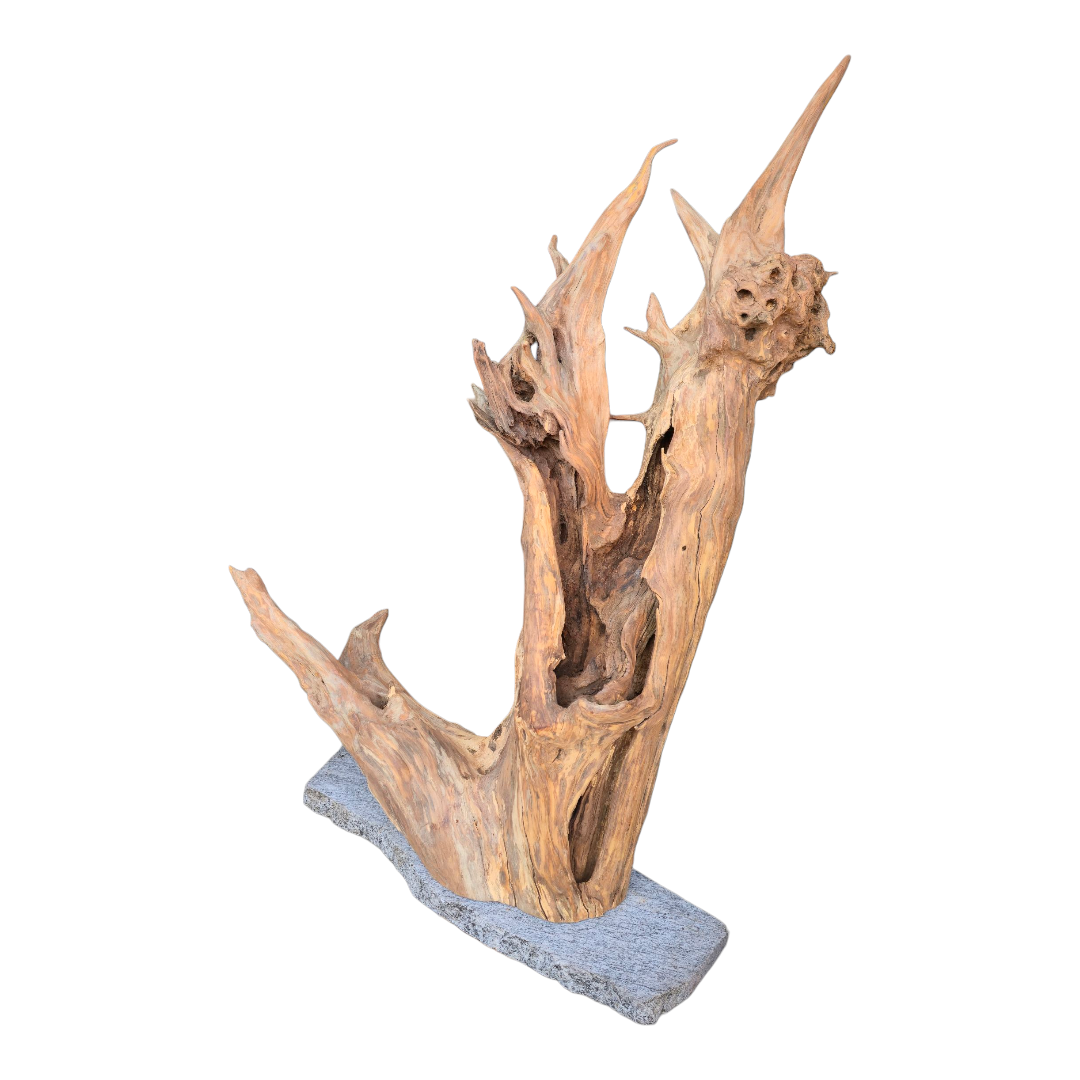 Scultura luminosa in radice naturale con ripiano in vetro.